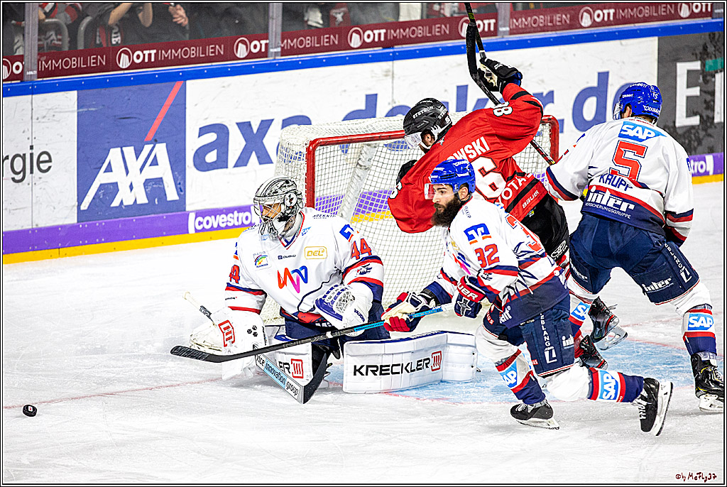 DEL; Koelner Haie - Adler Mannheim; Koeln, 01.11.2019